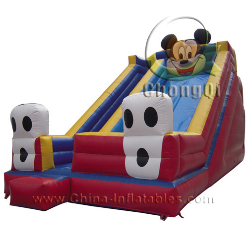 inflatable dry slide